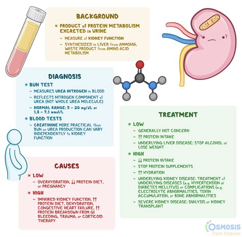 n lab test|Blood Urea Nitrogen (BUN) Test: High vs. Low Levels, Normal .